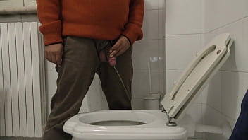 Italian bear taking a piss