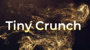 Tiny Crunch