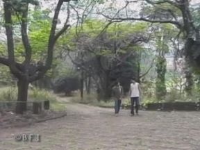 Falls n balls 8