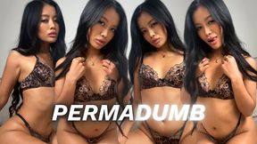 PERMADUMB