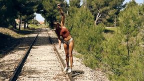 Encounter in a train rail