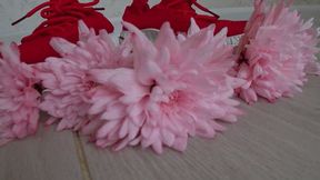 Crushed chrysanthemums with red sneakers dd