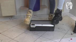 Printer under Buffalos