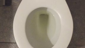 I PEE GOLD IN MY TOILET GB