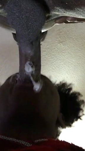 No Hands Sloppy BBC Deepthroat Cumming in My Mouth