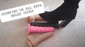 Stomping on all beta male cocks - CBT Boot Worship