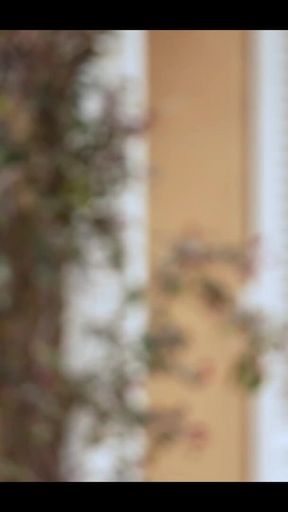 Swame House, French Porno Reality