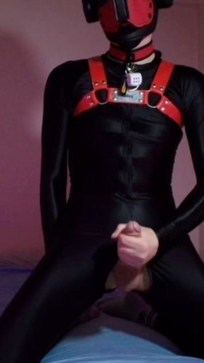 Needy puppy jerks his cock on his knees