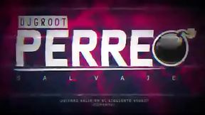 Mix Perreo Salvaje - Mix Reggaeton Antiguo