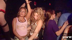Lingerie Party in Tampa Night Club - SpringbreakLife