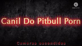 camera escondida do bbb fraga morena gostosa fazendo putaria com dois machos caiu na net