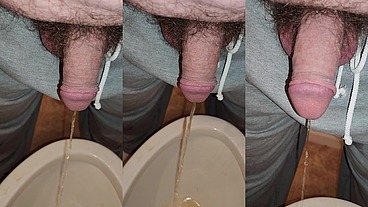 Kaso221 - straight bear pissing in toilet