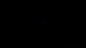 El gnoren se cacha al ronis