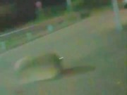 Slutboyben CAM4 Exposed Public Slut at Gas Station 😍💞🍆💦😘🌶🌶🌶😋