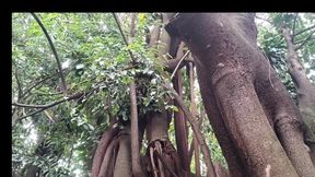 Mario Game in the Park Ended in Sex