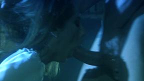 ”Jenna Haze allures a knight on the fortress bridge”