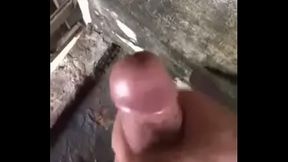 Tran Viet Viet - Ha Noi