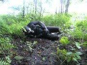 frogman quickly jerks off in shallow mud