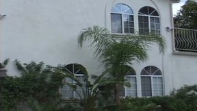 Gier eskaliert wenn alle Sicherungen durchbrennen bis alles