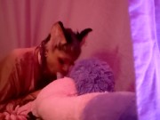 Foxy Enby Sucks and Rides Stuffed Unicorn