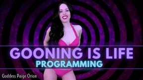 Gooning is Life Programming: MOBILE