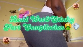 WET LOUD AND STINKY FART COMPILATION VIDEO BY GODDESSMONAY