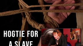 Hogtie for a slave 1280x720