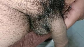 Mera Pyara Penis