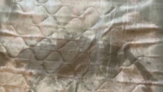Mature MILF BBW Destroying My Old Bed piss pee urine