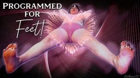 Programmed for feet wmv