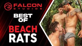 FalconStudios - Greatest Of Beach Rats - Marvelous Wolves Pulverizing Stiff Outdoors