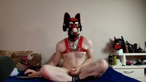 Licking Teats Latex Tight and Slick