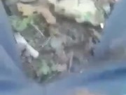 Me jalo la VERGA en el MONTE