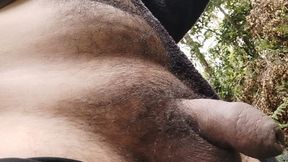 Flaccid in the forest