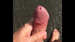 IMG 9127.MOV
