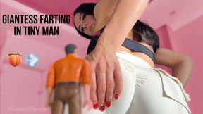 Giantess farting in tiny man 4K