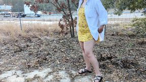 Pee break by the road