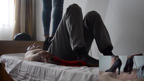 polllive - update #2 - calca pe corp o incepatoare - jan 21, 2026