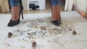 Latin babe crushing snails in high heels.