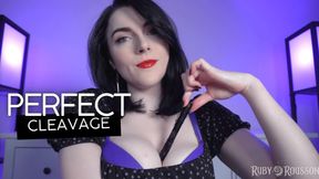 Perfect Cleavage Tease 1: Hiding Pens