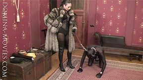 Bootlicker's Doggy Day IV - ENTIRE