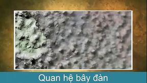 B&Agrave_I 28 THỰC H&Agrave_NH XEM BĂNG H&Igrave_NH VỀ TẬP T&Iacute_NH S&Acirc_U BỌ