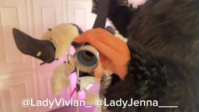 Schnüffelstoff& Pelz