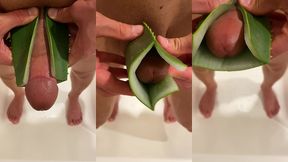 homemade aloe vera vagina 02