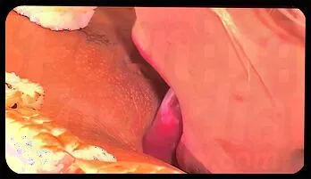 Sushi Seduction: Ariana Jollee's Naughty Delight Video collection