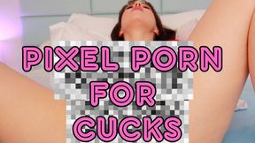 Pixel Porn For Cucks