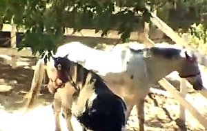 Lucy thai busted outdoors