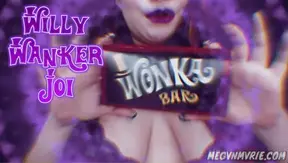 Willy Wanker JOI