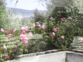 Blonde slut on a lounge chair sucks a cock and fucks