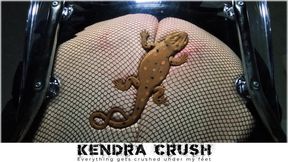 Butt Crushing and Squeezing Underglass the Poor Lizard Under My Booty in Fishnet Stockings - I sit on the poor squashed lizard under glass, candid crushing, stand up and sit down hard over and over again.